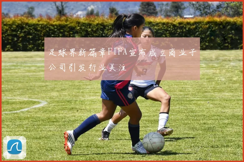 足球界新篇章FIFA宣布成立商业子公司引发行业关注
